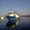 fishing boat torre del mar