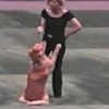 Dancing Dog Rookie