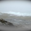 IMG_1920