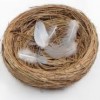 empty nest