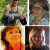 YAK 2-8-12