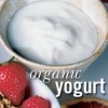 organic yogurt