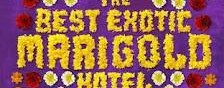 best exotic logo