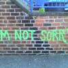 not-sorry_20081216-1458
