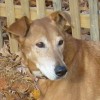 Reina. She is the namesake of Reina's House.