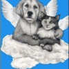 animals in heaven