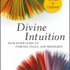 Lynn Robinson's Divine Intuition book Lynn Robinson's Divine Intuition book