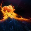 love1 love1