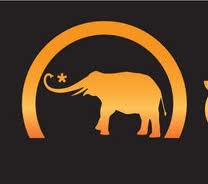 Where Is My Guru Welcomes Bob Weisenberg, Editor of Elephant Journal, This Friday November 4,2011@ 11AM EST!